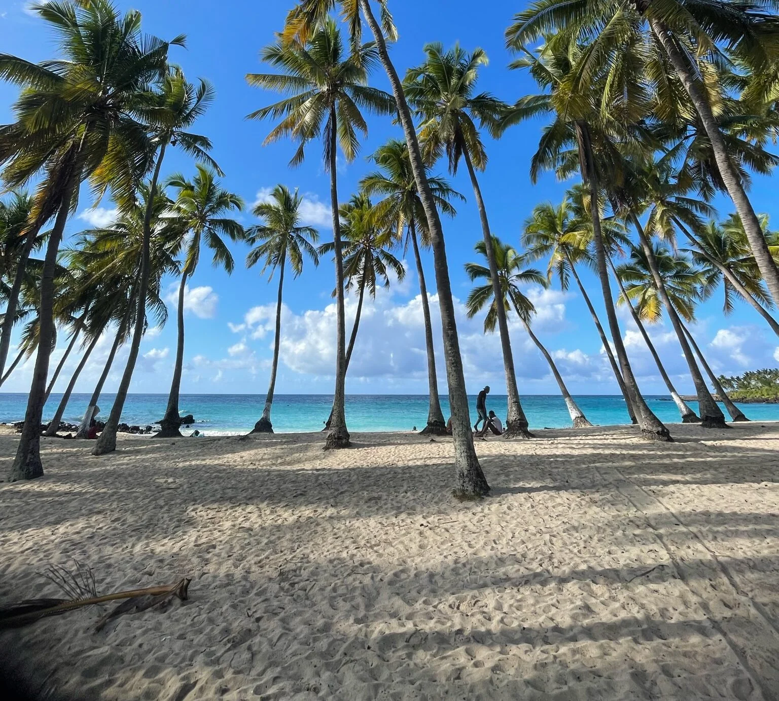 Les trésors cachés : Nos 10 plages préférées aux Comores