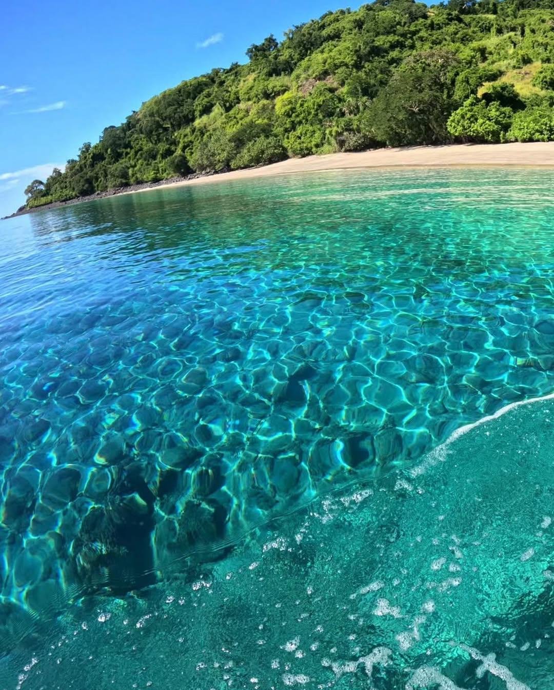 Plage paradisiaque avec cocotiers aux Comores
